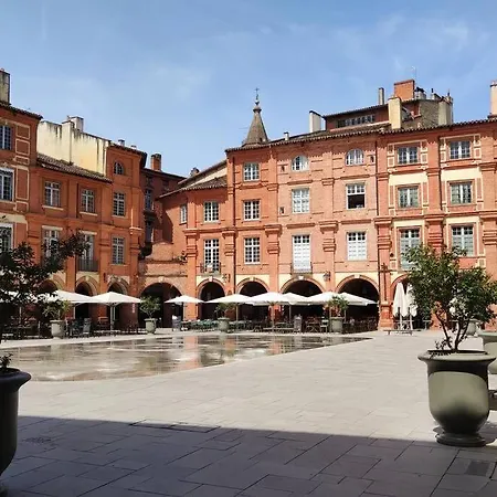 La Chenaie Maison Entiere Avec Un Grand Jardin * Montauban